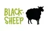 Blacksheep Campervan Rental
