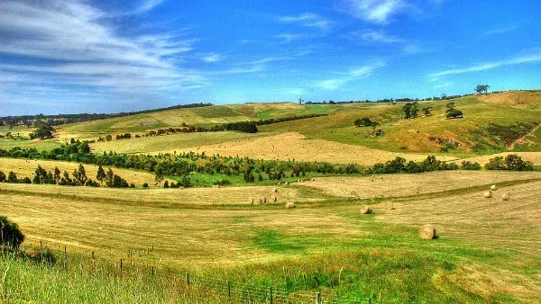 Otways